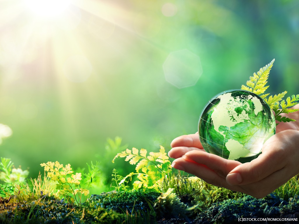 Hands holding a glass globe in a forest environment.